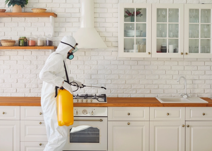 Exterminateur punaise de lit Biel 2501 – Société spécialisée dans le Bern