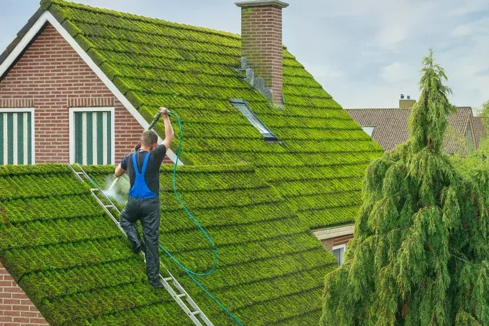 Démoussage de toiture et entretien des gouttières à Bienne 2500